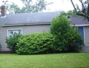Window Obstruction